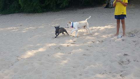 Gillson Park Dog Beach
